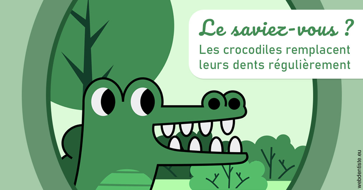 https://dr-muffat-jeandet-julien.chirurgiens-dentistes.fr/Crocodiles 2